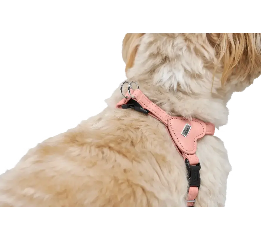 Dog Harness Soho Mini Pink