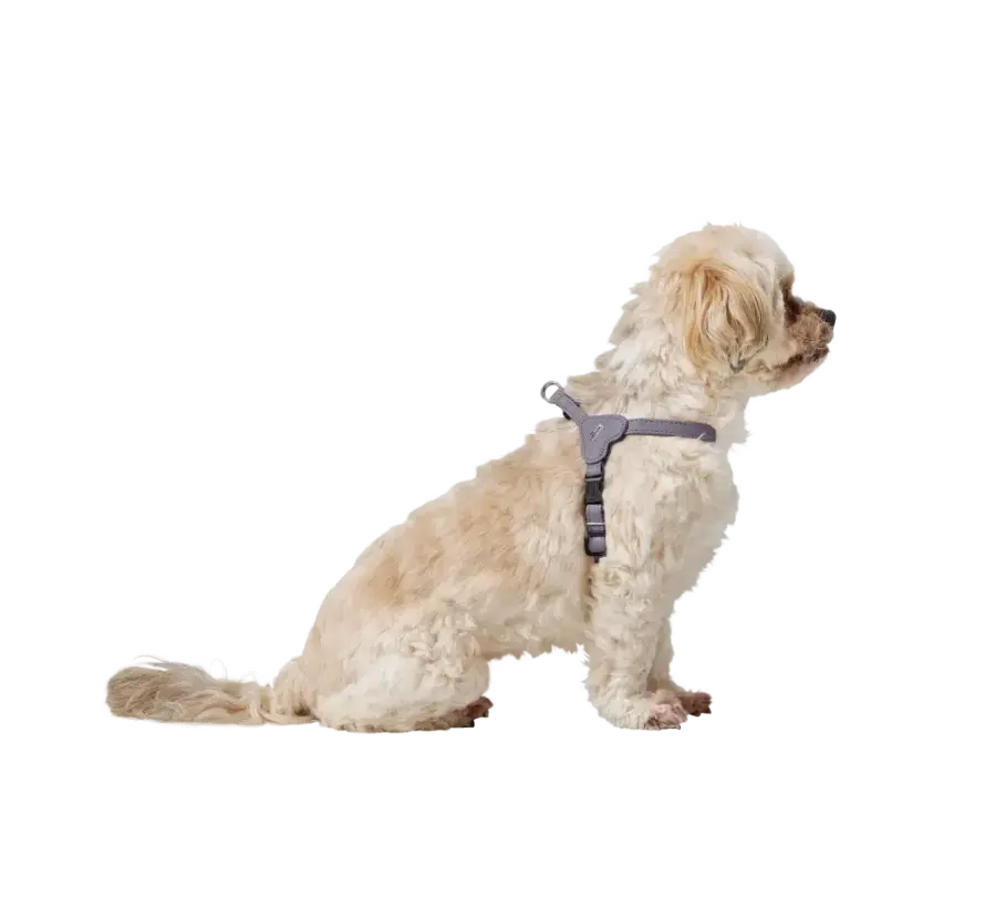 Dog Harness Soho Mini Lilac