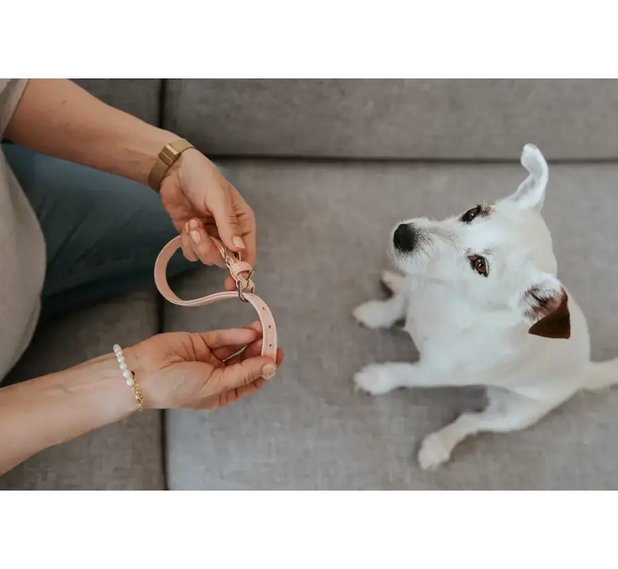 Dog Collar Soho Mini Pink