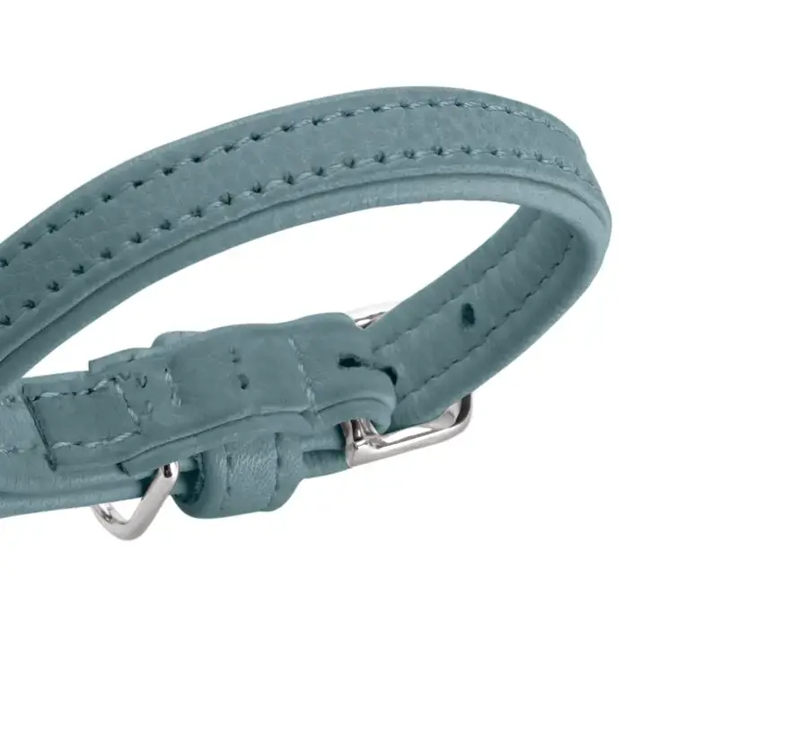 Dog Collar Soho Mini Blue