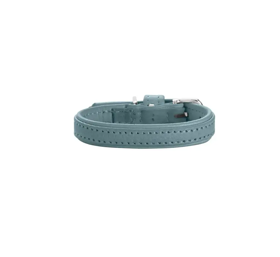 Hondenhalsband Soho Mini Blauw