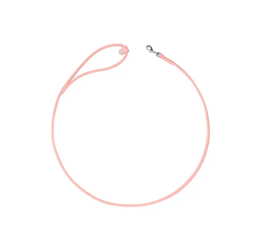 Hondenriem Soho Round Mini Roze