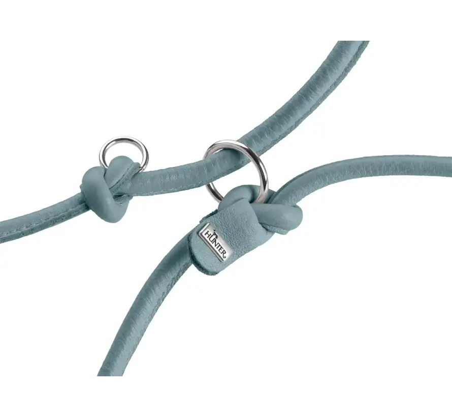 Adjustable Dog Leash Soho Round Mini Blue