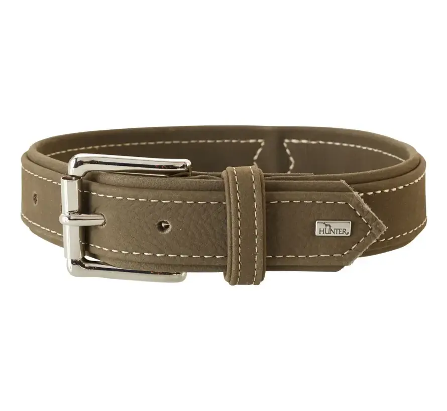 Dog Collar Hunting Olive