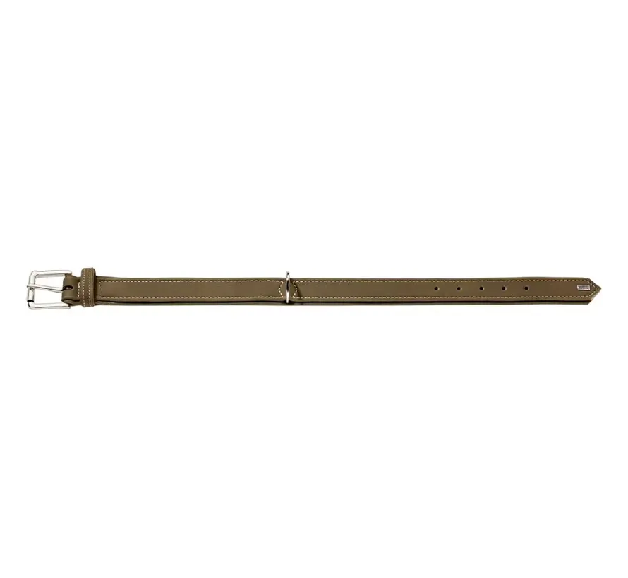 Dog Collar Hunting Olive