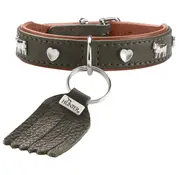 Hunter Hondenhalsband München Mini Groen