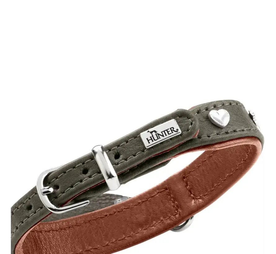Dog Collar Munich Mini Green