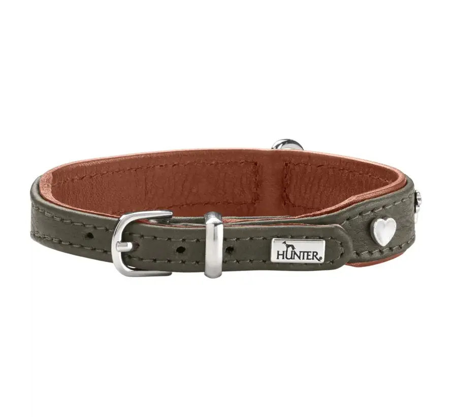 Dog Collar Munich Mini Green