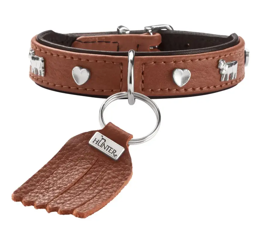 Hondenhalsband München Mini Cognac