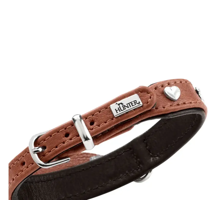 Hondenhalsband München Mini Cognac