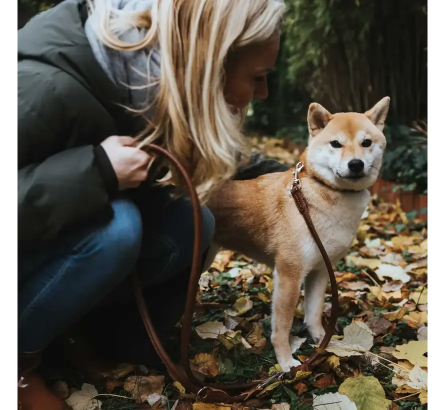 Verstelbare Hondenriem Round & Soft Bruin