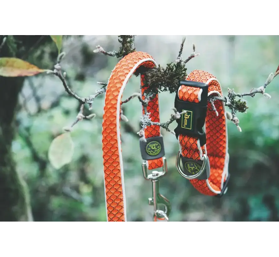 Hondenhalsband Hilo Oranje