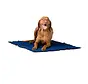 Pacific Blue Cooling Mat
