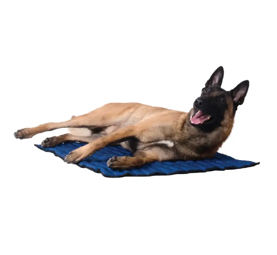 Pacific Blue Cooling Mat