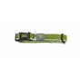 Dog Collar Hilo Lime