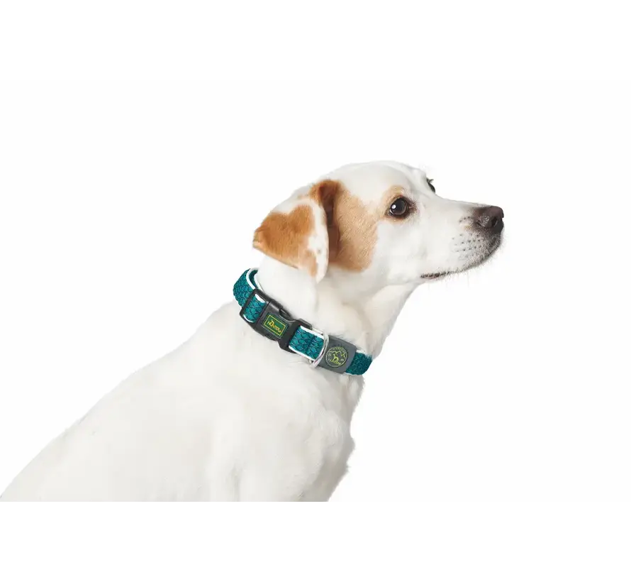 Hondenhalsband Hilo Turquoise