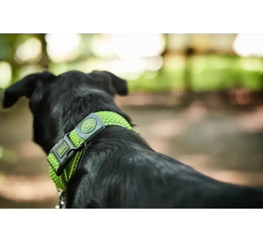 Dog Collar Hilo Vario Plus Lime