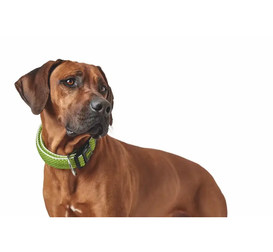 Dog Collar Hilo Vario Plus Lime