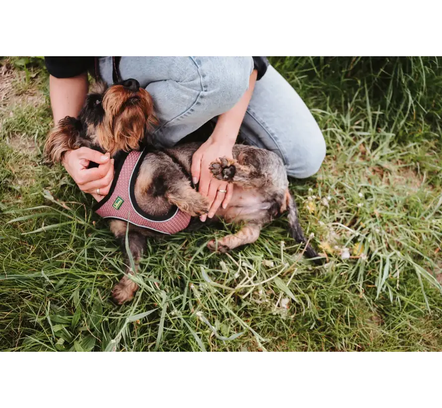 Hondentuig Hilo Comfort Oud Roze