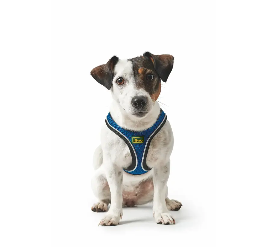 Dog Harness Hilo Comfort Blue
