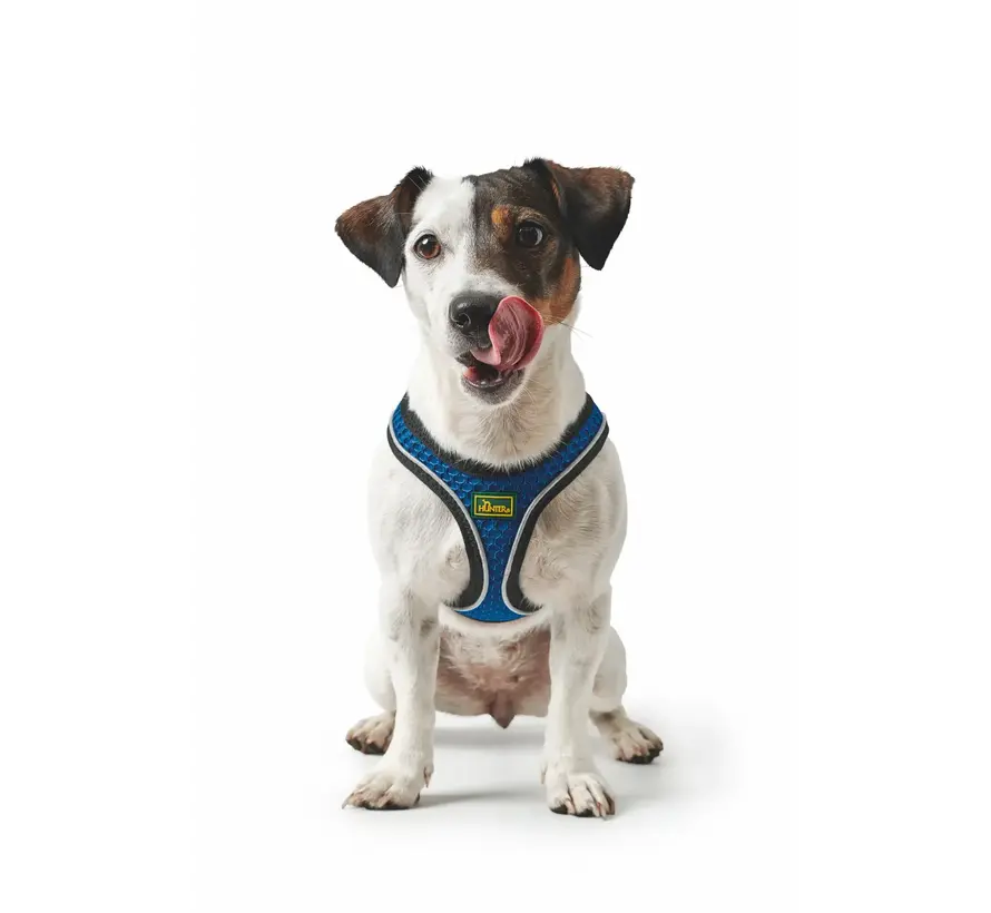 Dog Harness Hilo Comfort Blue