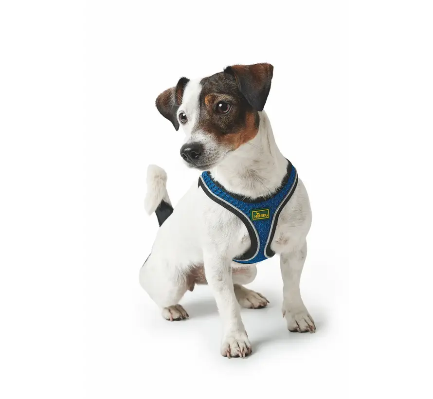 Hondentuig Hilo Comfort Blauw