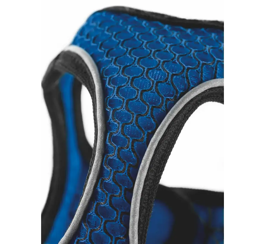 Dog Harness Hilo Comfort Blue