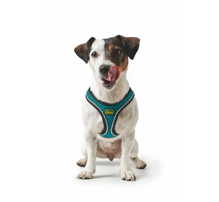 Dog Harness Hilo Comfort Turquoise