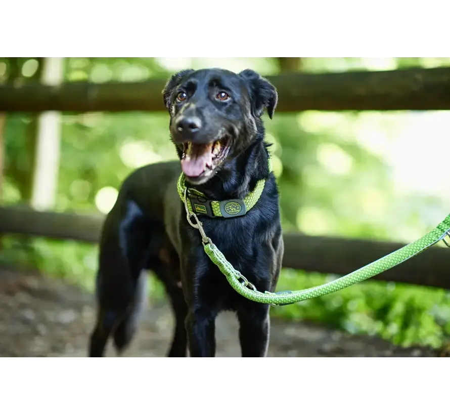 Adjustable Dog Leash Hilo Lime