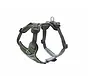 Dog Harness Divo Green