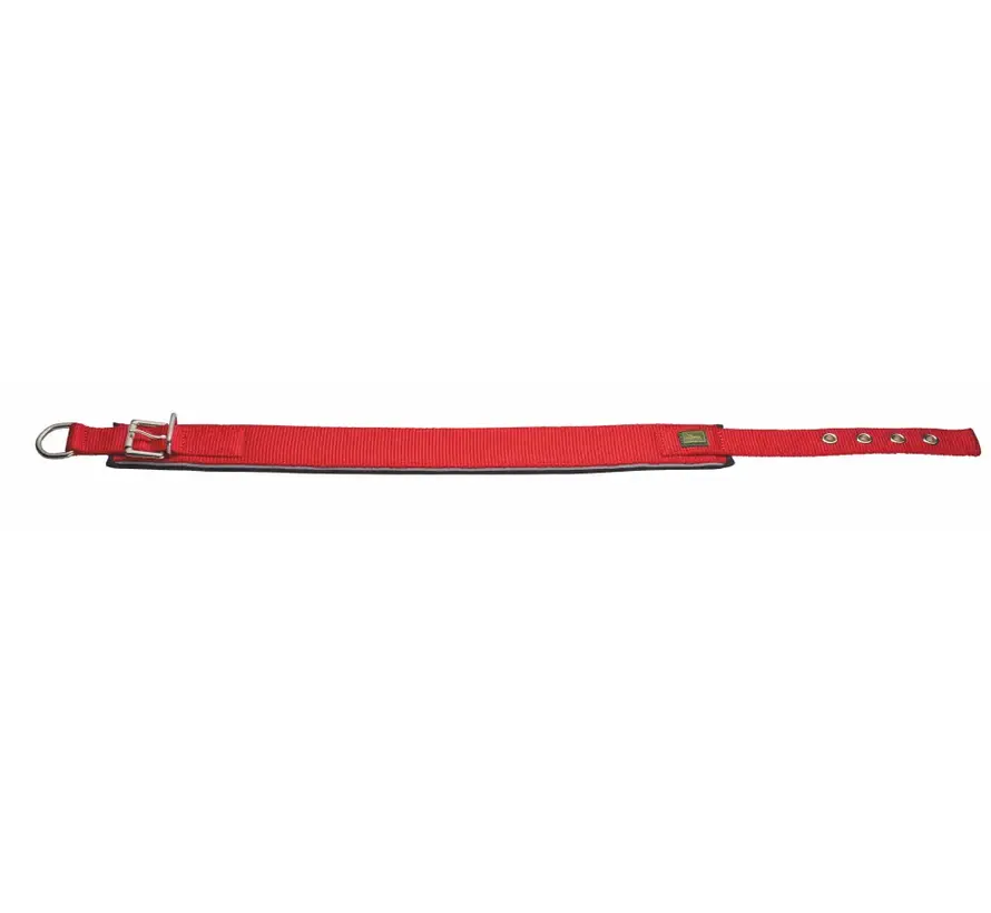 Dog Collar Neoprene Reflect Red