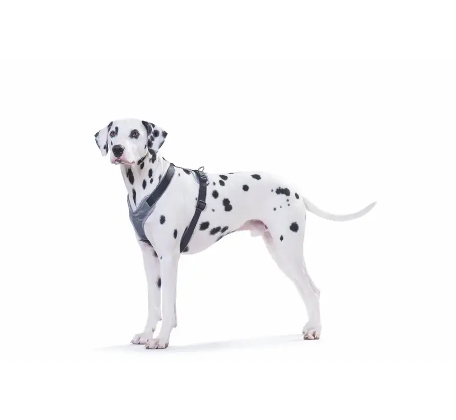 Dog Harness Neoprene Black