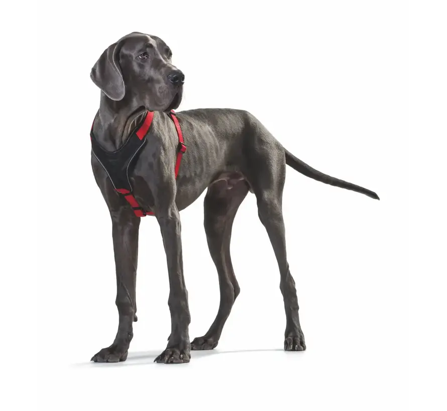 Dog Harness Neoprene Red