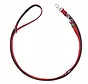 Adjustable Neoprene Dog Leash Red