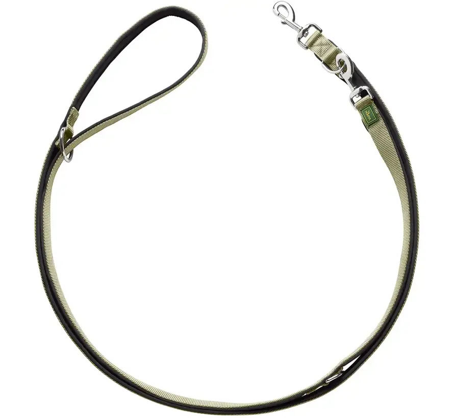 Adjustable Neoprene Dog Leash Olive