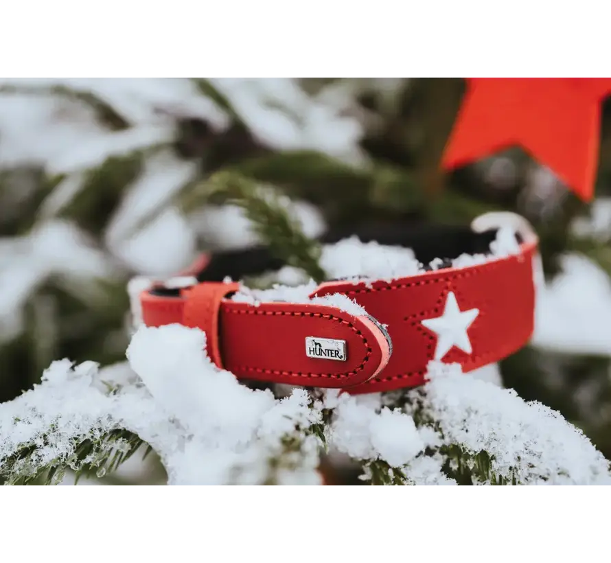 Hondenhalsband Magic Star Rood
