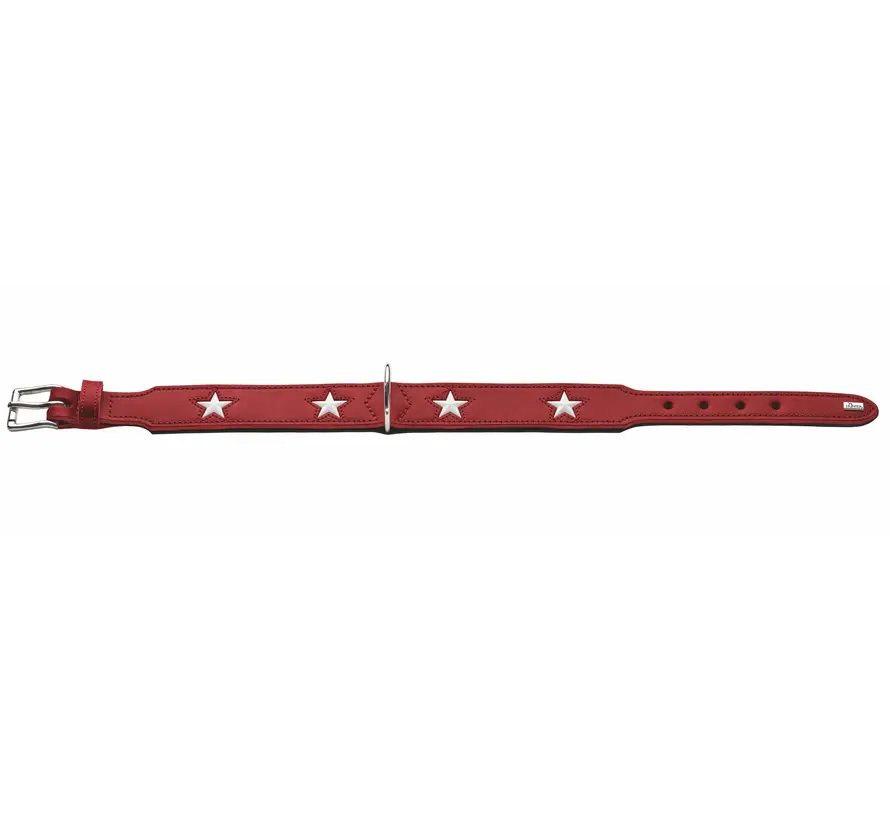 Hondenhalsband Magic Star Rood