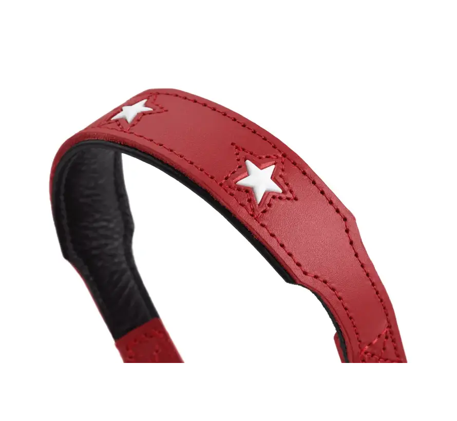Verstelbare Hondenriem Magic Star Rood