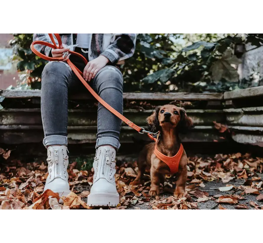 Adjustable Dog Leash Cannes Orange