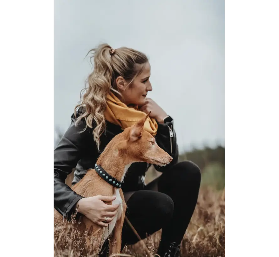 Dog Collar Modica
