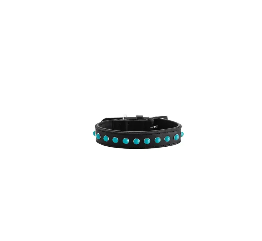 Hondenhalsband Modica