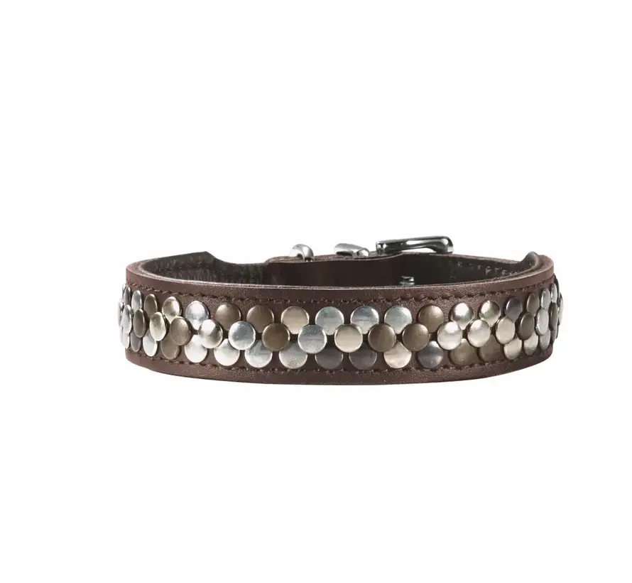 Dog Collar Arizona Up Brown