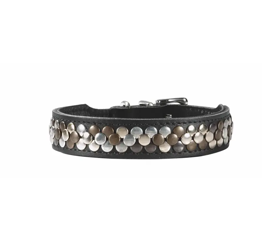 Hondenhalsband Arizona Up Zwart