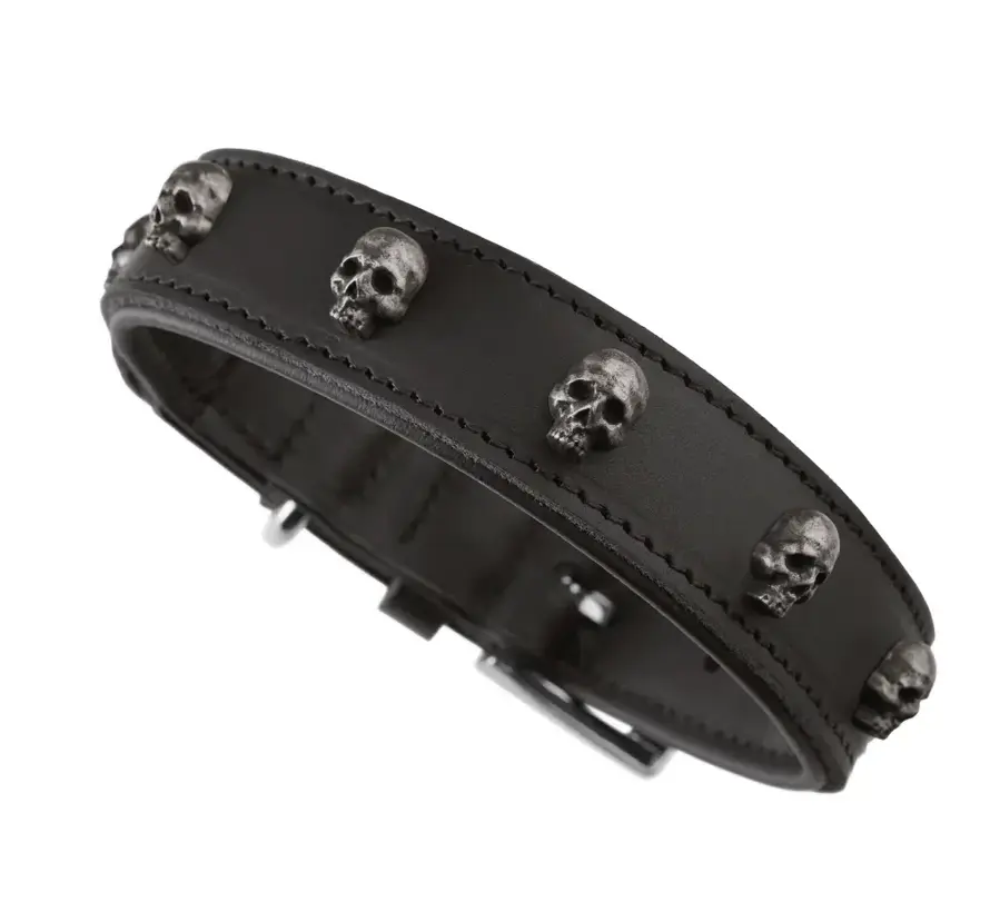 Dog Collar Tijuana