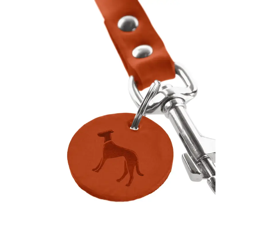Short Dog Leash Orange