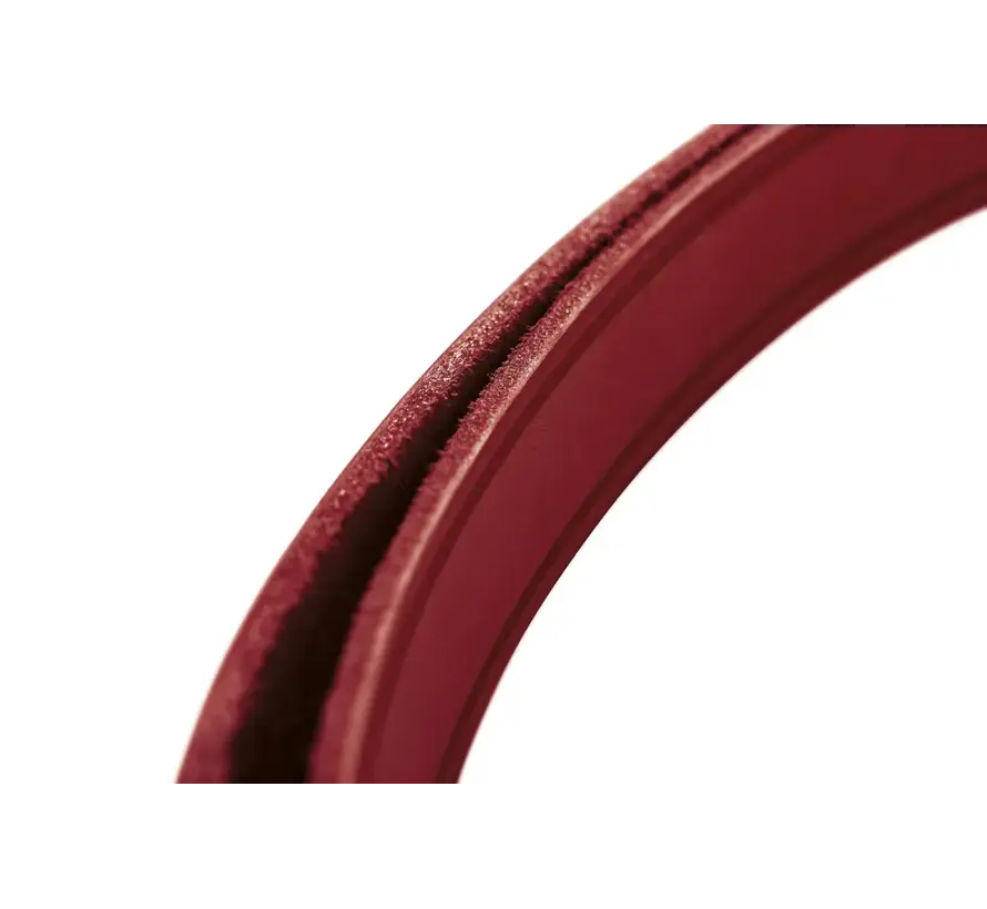 Short Dog Leash Red