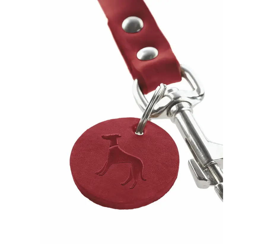 Short Dog Leash Red