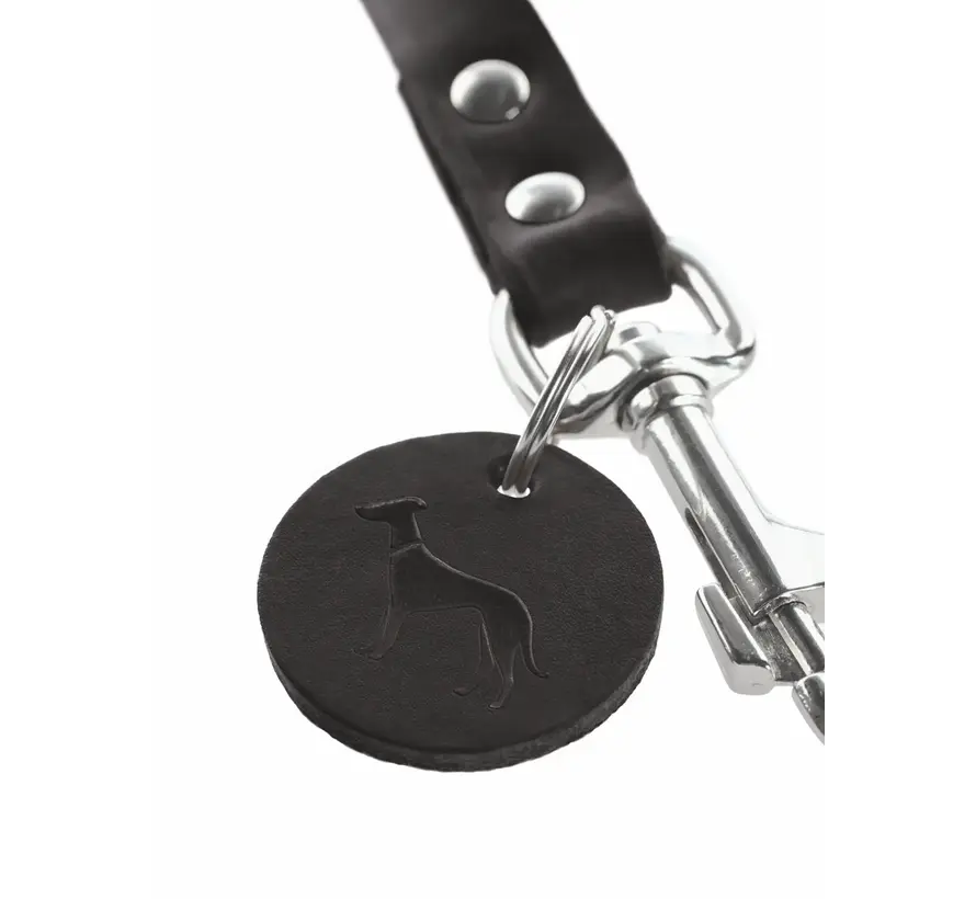 Adjustable Dog Leash Black