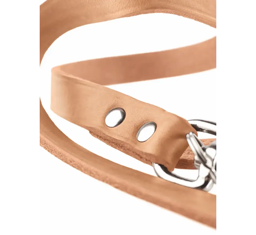 Adjustable Dog Leash Tan