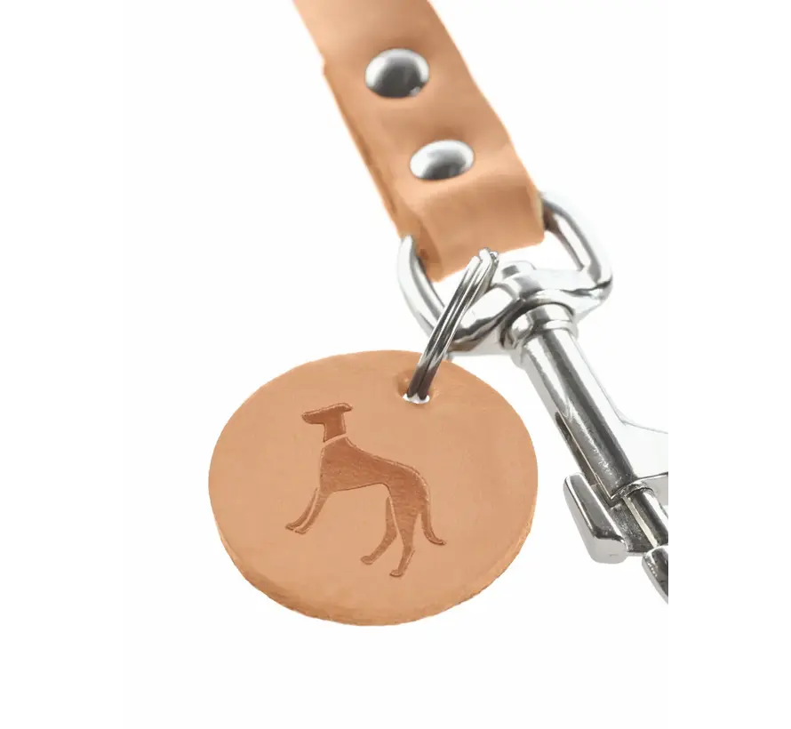 Adjustable Dog Leash Tan